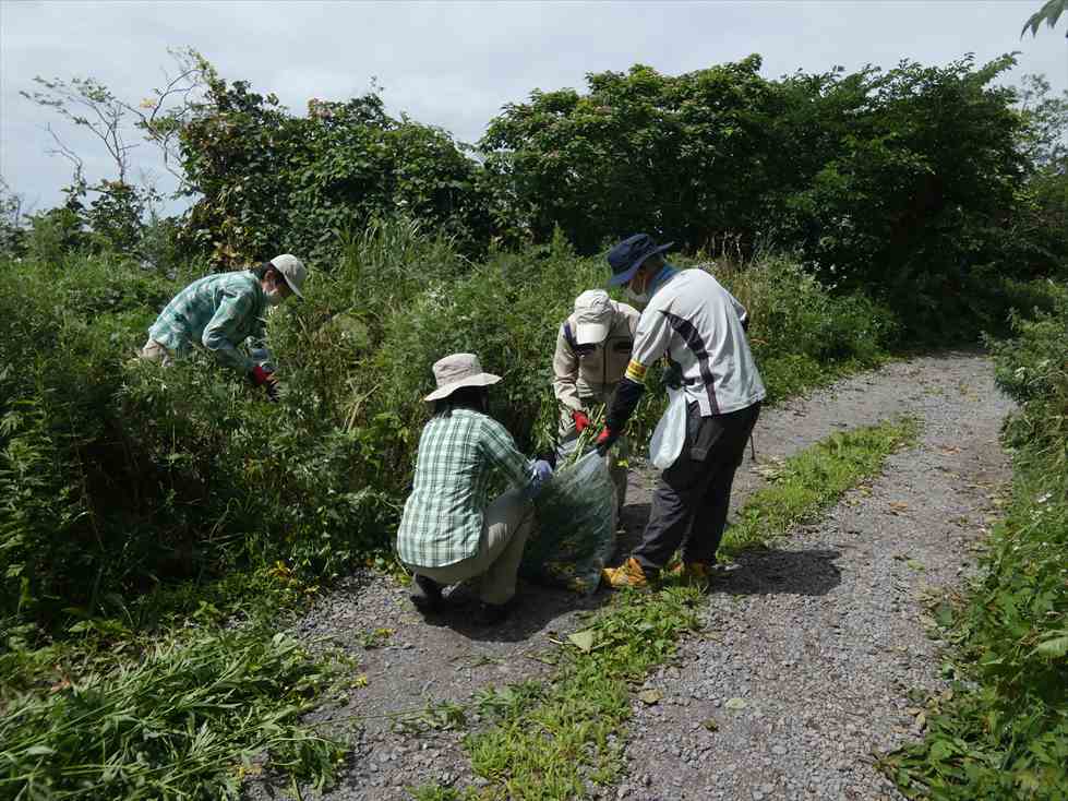 函館山自然観察ボランティア研修生を募集します！_e0145841_20020203.jpg