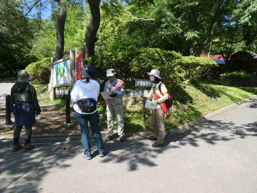 函館山自然観察ボランティア研修生を募集します！_e0145841_20043765.jpg