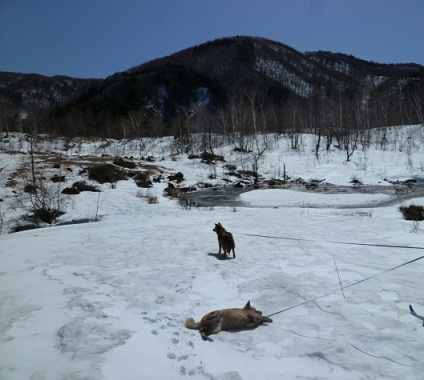 雪の思い出_b0203758_14084754.jpg