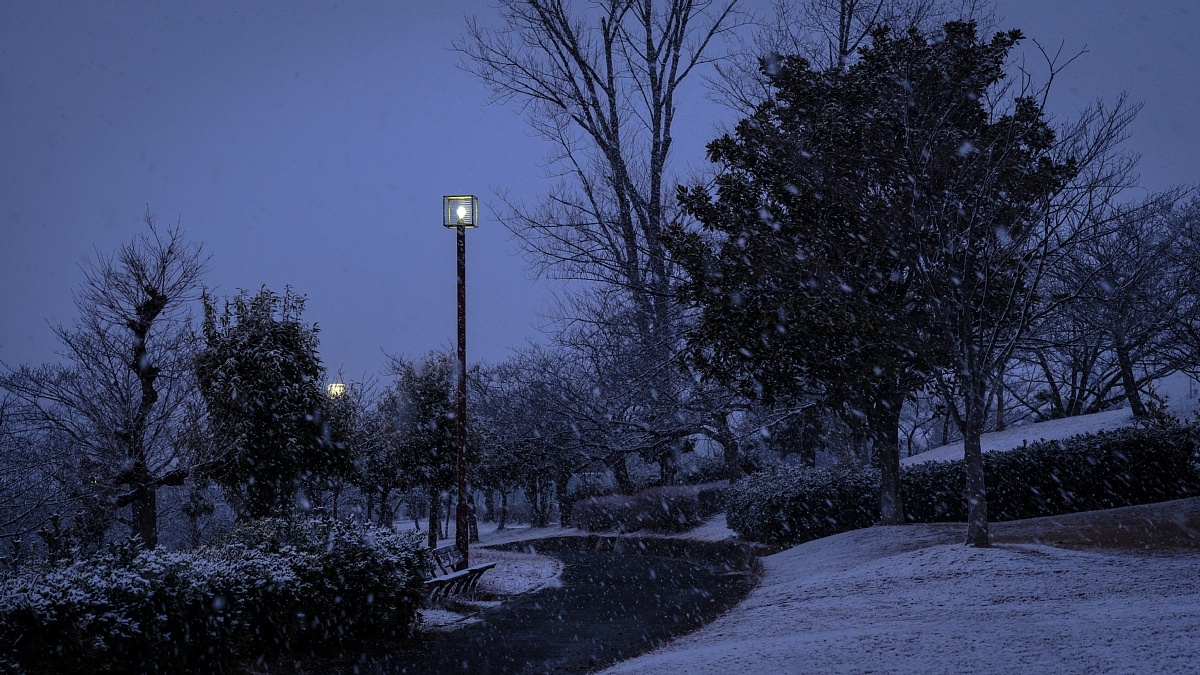 雪が舞う夕暮れ_d0353489_21341580.jpg