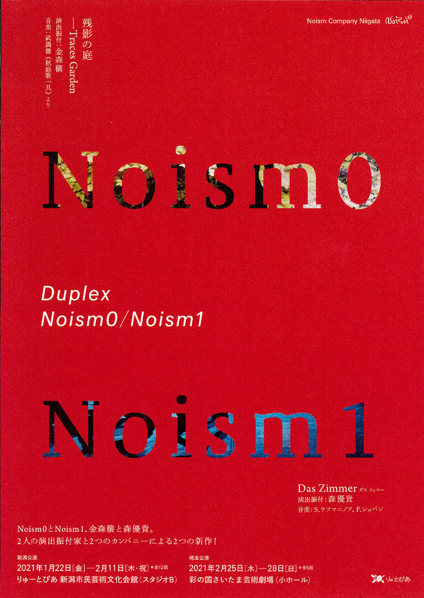 Noism すごかった!!_e0046190_13264467.jpg