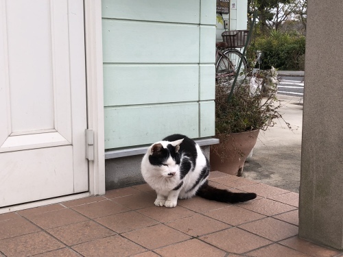 川柳_d0184114_18330875.jpeg