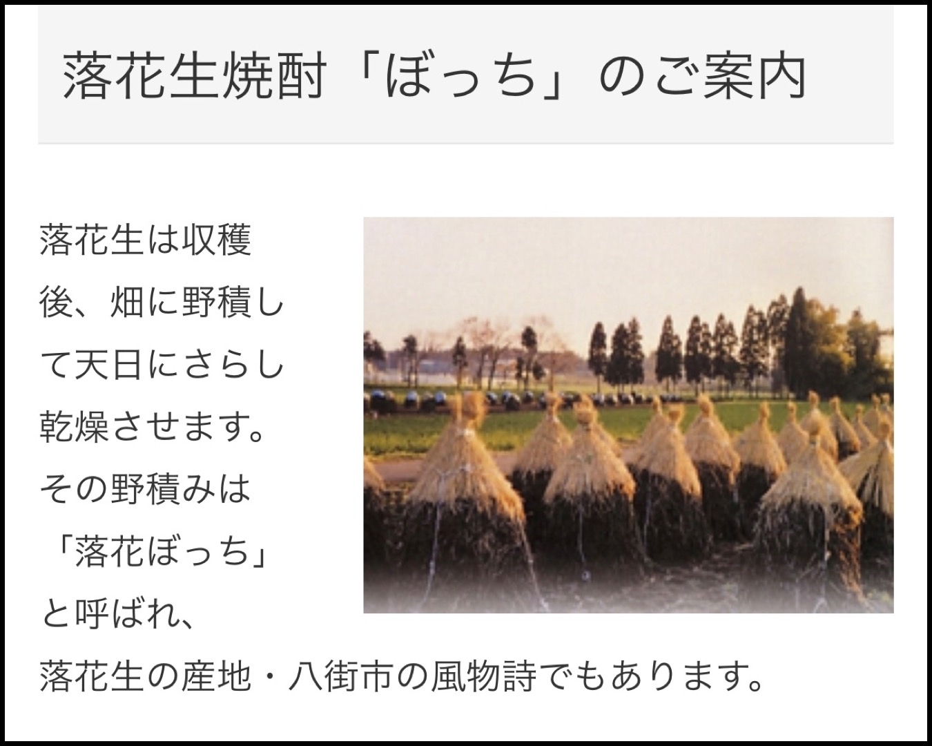 千葉県産の落花生焼酎 ぼっち アキタンの年金 株主生活 毎月旅日記 千葉県産の落花生焼酎 ぼっち アキタンの年金 株主生活 毎月旅日記