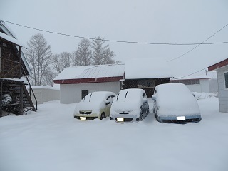 今日はサラサラな雪でしたが、ドカッと降りました_b0405523_04385414.jpg