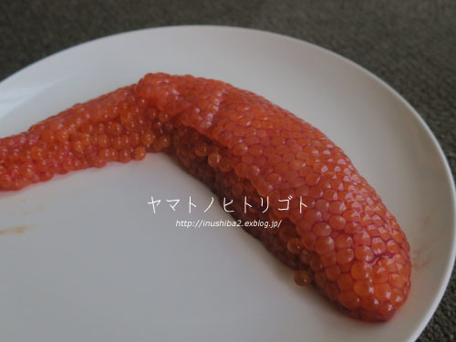 誕生日定期便_e0394031_07231992.jpg