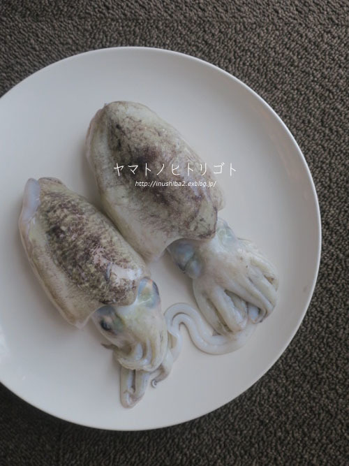 誕生日定期便_e0394031_07232592.jpg