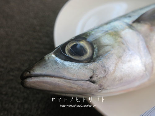 誕生日定期便_e0394031_07232788.jpg