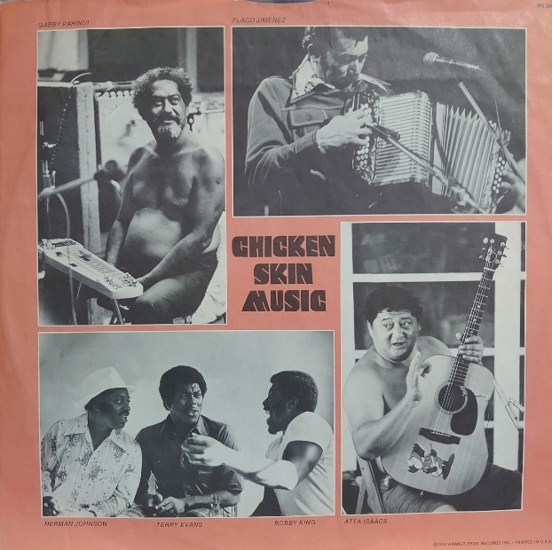 Loggins Ry Cooder David Lindley コンサートシャツ Cooder