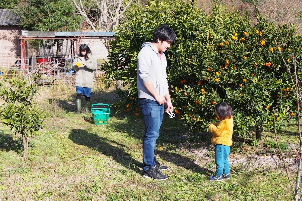 2021/1/30 四男とミカン狩り_f0201157_22340407.jpg