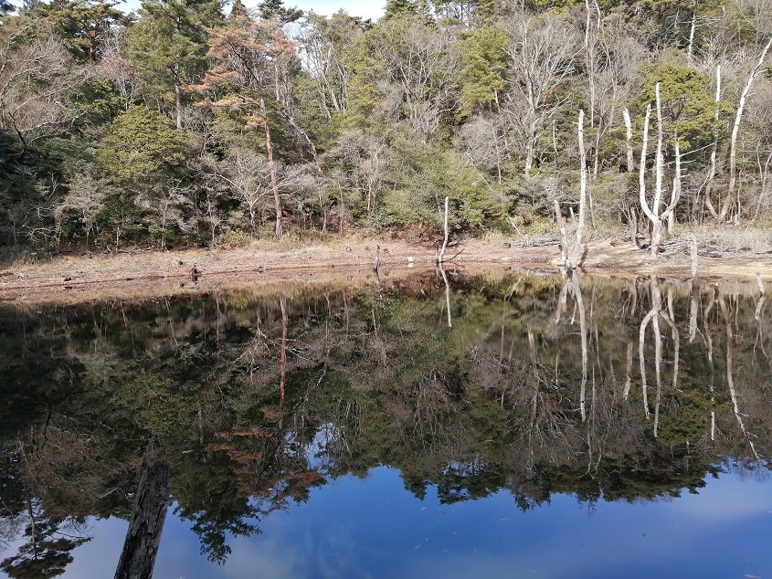 リベンジ　ゴリラ岩逆コース_c0260463_06321041.jpg