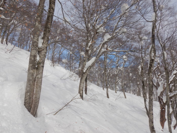 鉢伏山 ～ ２０２１年１月２３日_f0170180_17005876.jpg
