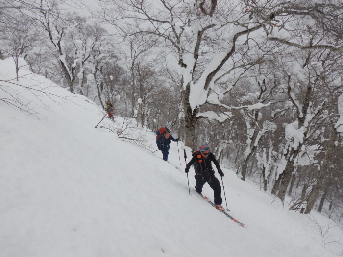 鉢伏山 ～ ２０２１年１月２３日_f0170180_17144034.jpg