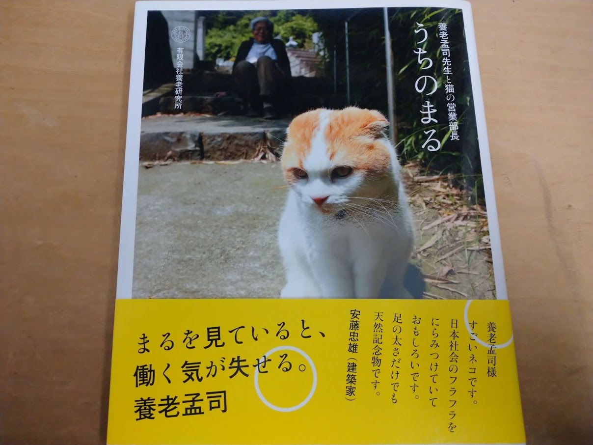 クリスマスローズ1号_f0197985_23442932.jpg