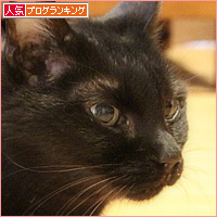 ヒナの病気と、これからの時間_a0389088_16580216.jpg