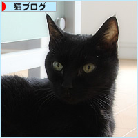 ヒナの病気と、これからの時間_a0389088_16580296.jpg