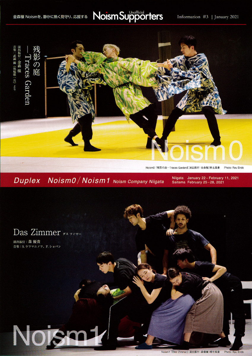 Noism すごかった!!_e0046190_16434941.jpg