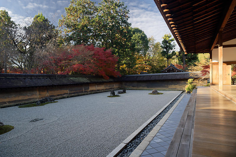 2020京都の紅葉・衣笠 竜安寺 其の一_f0032011_16594203.jpg
