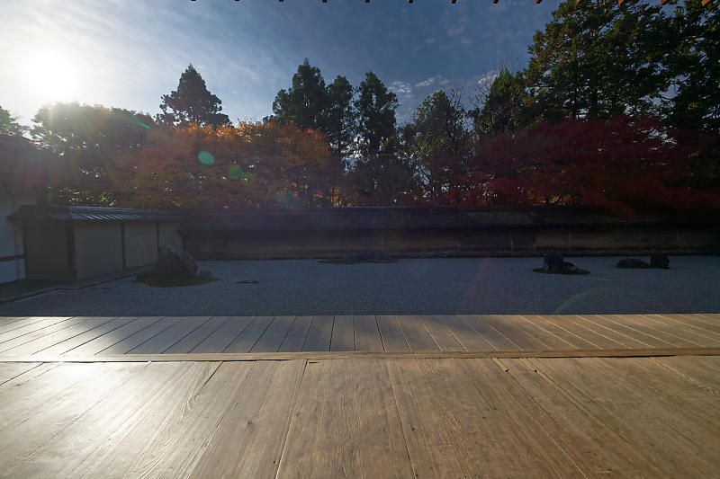 2020京都の紅葉・衣笠 竜安寺 其の一_f0032011_17025117.jpg