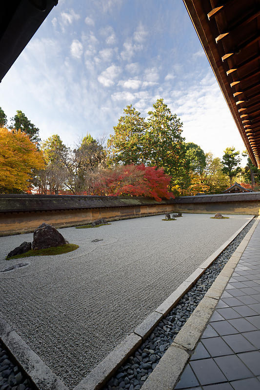 2020京都の紅葉・衣笠 竜安寺 其の一_f0032011_17025258.jpg