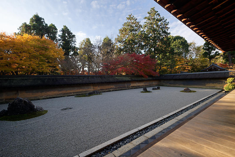 2020京都の紅葉・衣笠 竜安寺 其の一_f0032011_17025289.jpg