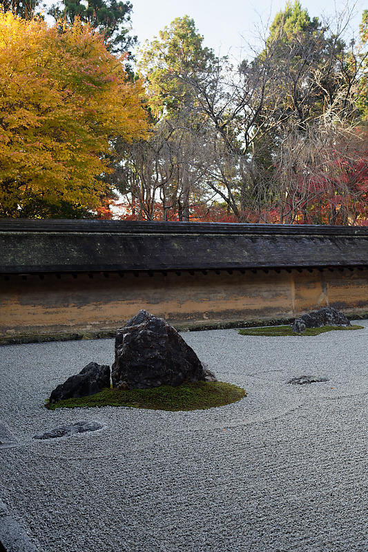 2020京都の紅葉・衣笠 竜安寺 其の一_f0032011_17025303.jpg