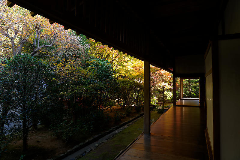 2020京都の紅葉・衣笠　竜安寺　其の一_f0032011_17025342.jpg