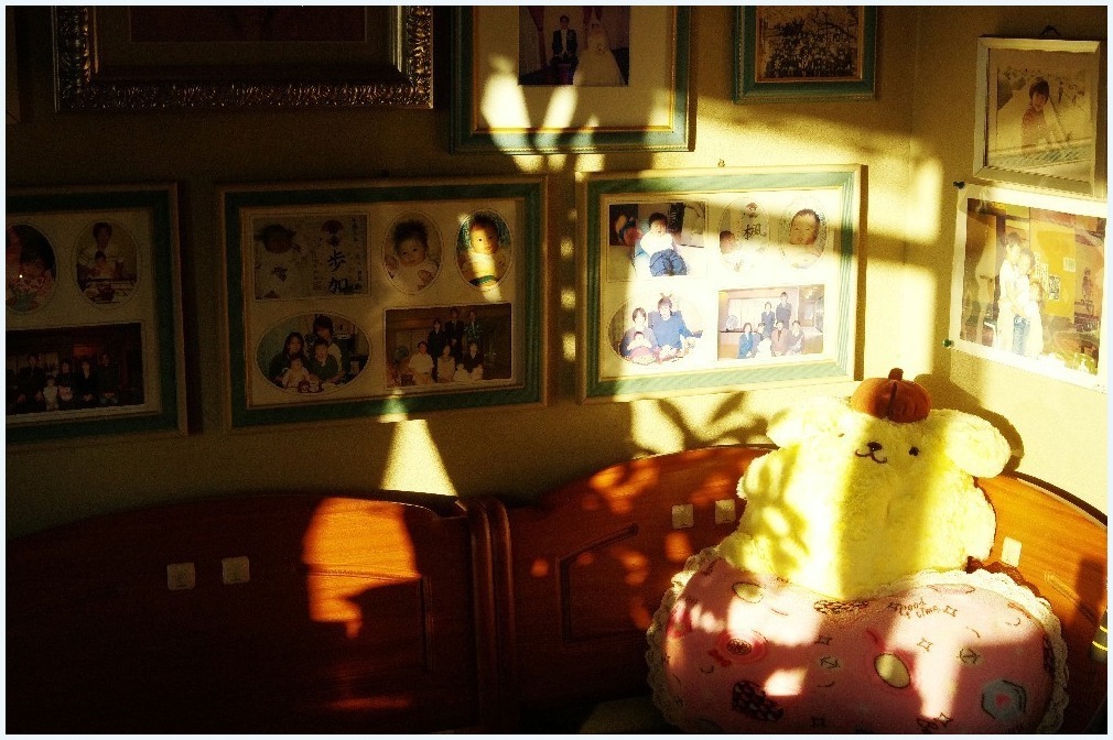 朝の光が・・・_c0352813_11463002.jpg