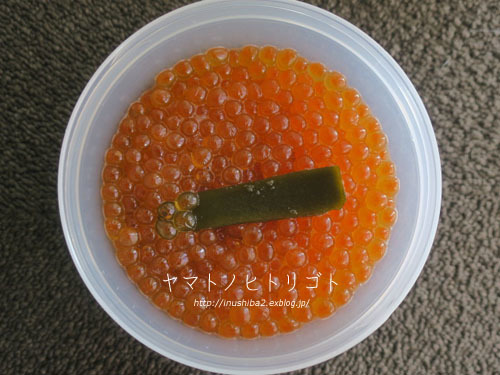誕生日定期便・・・その後。_e0394031_06584017.jpg