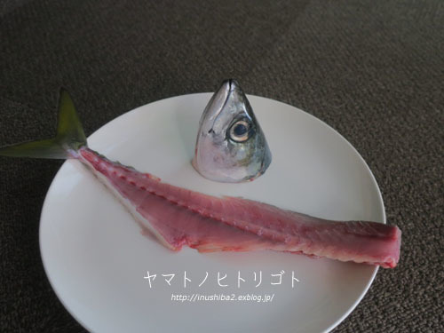 誕生日定期便・・・その後。_e0394031_06584886.jpg