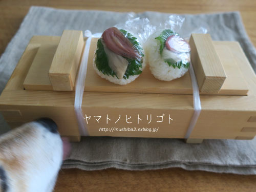誕生日定期便・・・その後。_e0394031_06585191.jpg