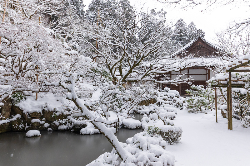 雪の滋賀2021　金剛輪寺・庭園編_f0155048_21451957.jpg