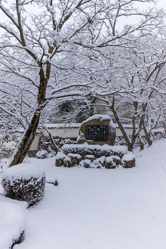 雪の滋賀2021　金剛輪寺・庭園編_f0155048_21454541.jpg