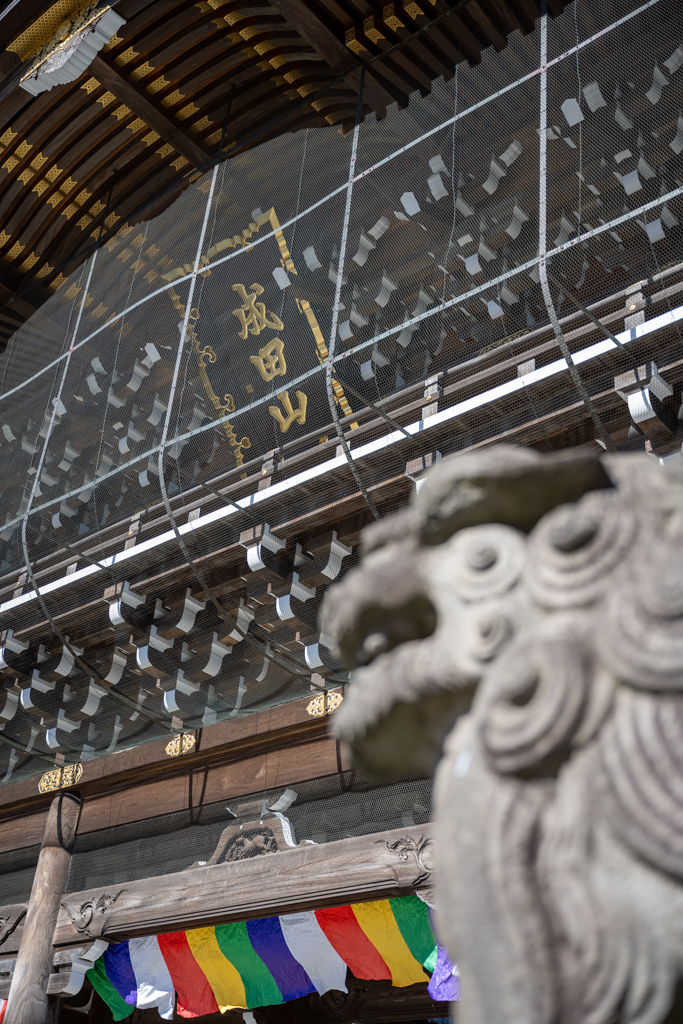 2021年 やっと初詣。【成田山新勝寺】_b0247073_11124566.jpg