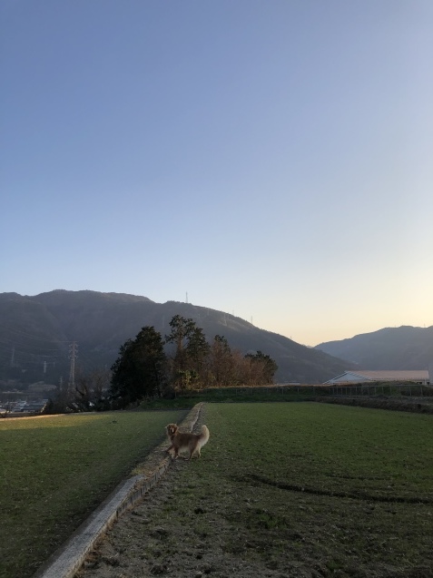 父と母。_a0394574_22495106.jpeg