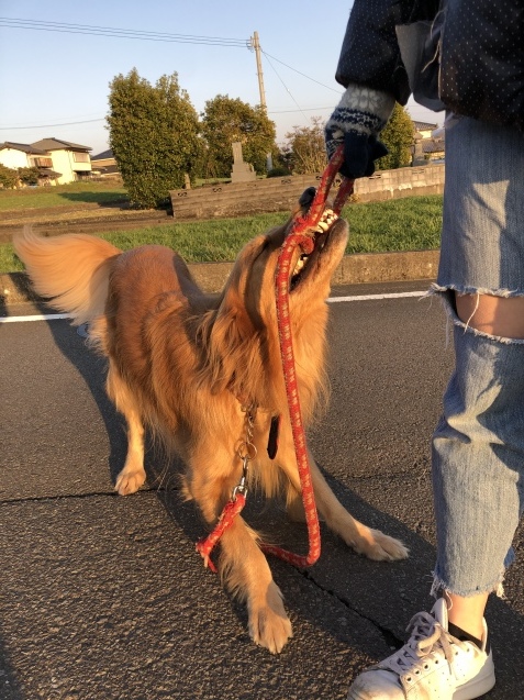 父と母。_a0394574_22502996.jpeg
