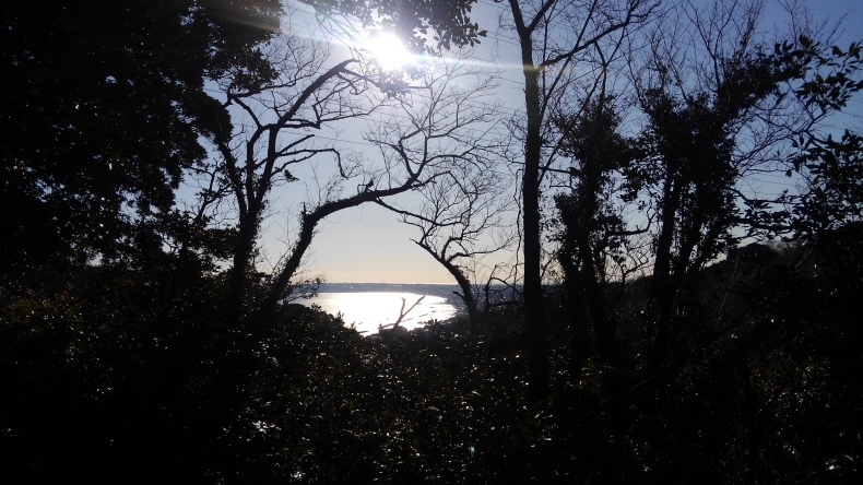 進め!探検隊_e0401283_18084204.jpg