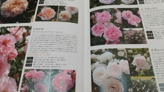 Pds Exblog Jp Pds 1 2101 31 84 B Pds Exblog Jp Pds 1 2101 31 84 B