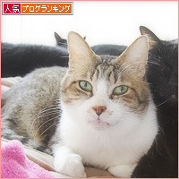 おばあちゃんキラー_a0389088_03500804.jpg