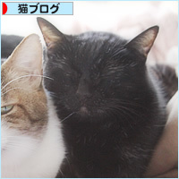 おばあちゃんキラー_a0389088_03500821.jpg