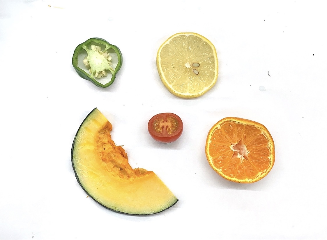 水彩画 野菜と果物の断面 造形ジュニアこども絵画教室ブログ