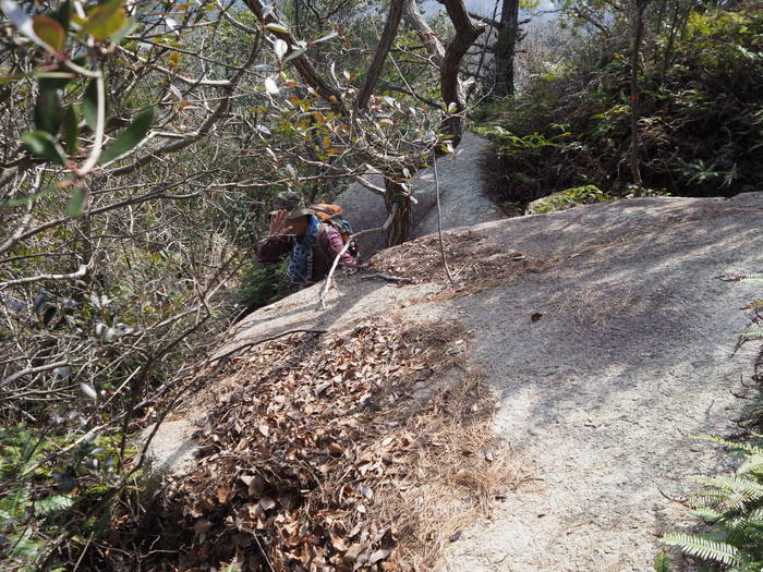 岳浦山登山（城岸鼻登山口～西宇土の周回）_c0116915_23132074.jpg