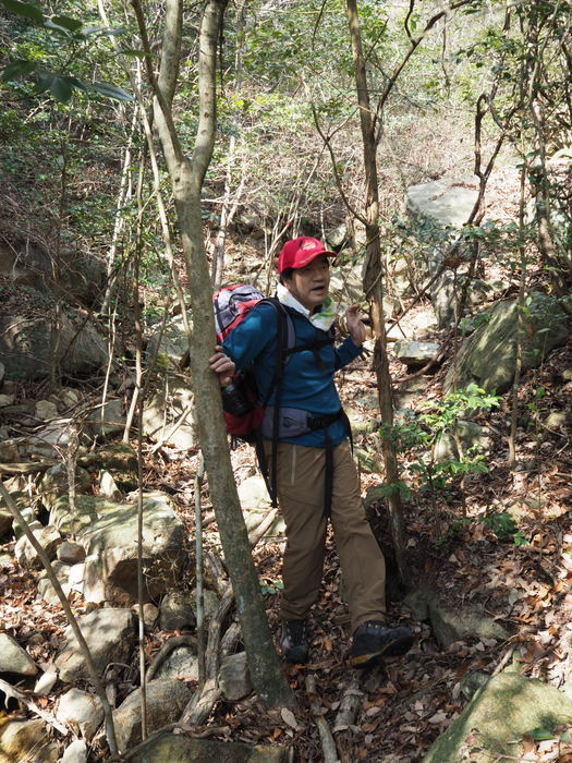 岳浦山登山（城岸鼻登山口～西宇土の周回）_c0116915_23224195.jpg