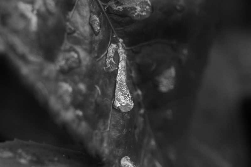 彷徨う_b0220318_18253276.jpg