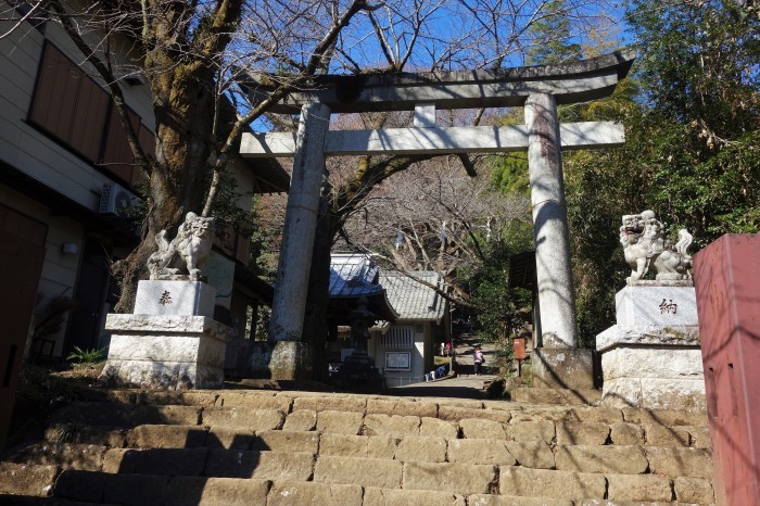 ■お散歩【地元愛川・八菅神社迄家から歩きで行って来ました。】_b0033423_21091200.jpg