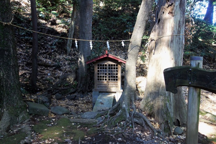 ■お散歩【地元愛川・八菅神社迄家から歩きで行って来ました。】_b0033423_22312503.jpg