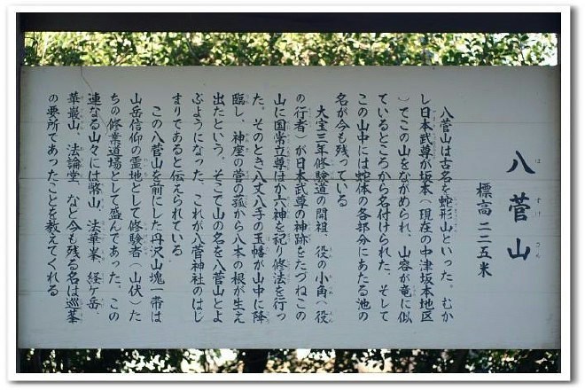 ■お散歩【地元愛川・八菅神社迄家から歩きで行って来ました。】_b0033423_22331520.jpg