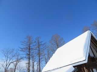 大雪のあと青空が広がると気持ちが良いですね_b0405523_02310955.jpg
