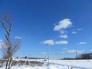 大雪のあと青空が広がると気持ちが良いですね_b0405523_02350521.jpg