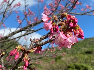 沖縄出張_c0051529_17565187.jpg