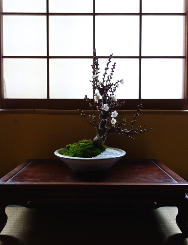 如月_a0197730_08064804.jpeg